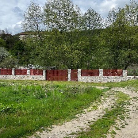 La Gradina Hotel Mehadija Екстериор снимка