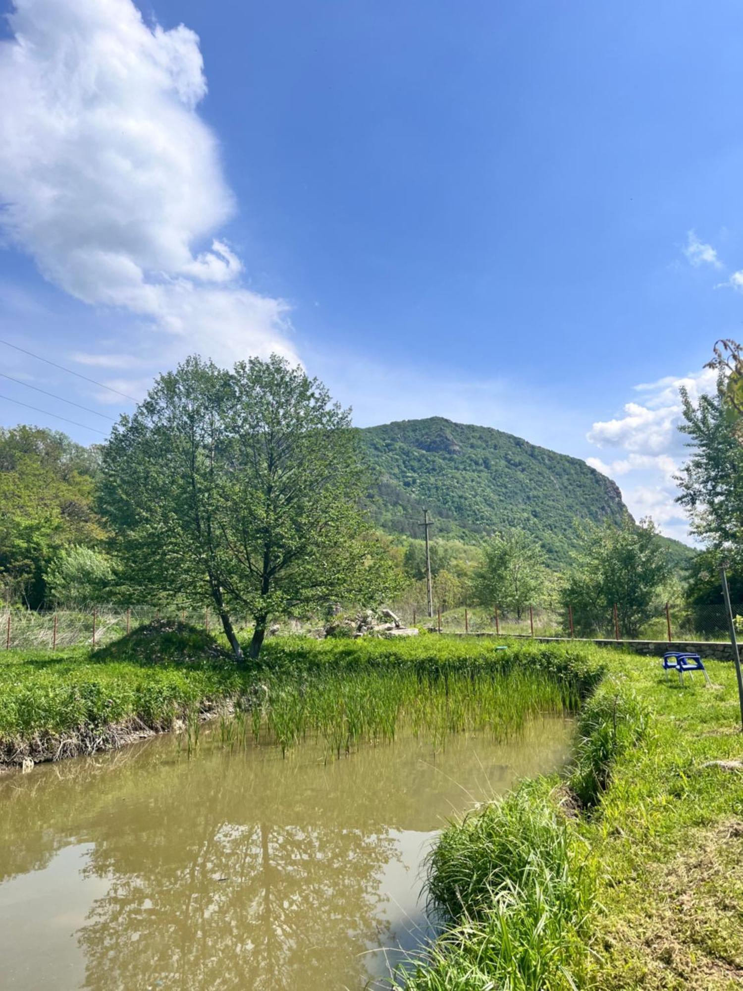 La Gradina Hotel Mehadija Екстериор снимка