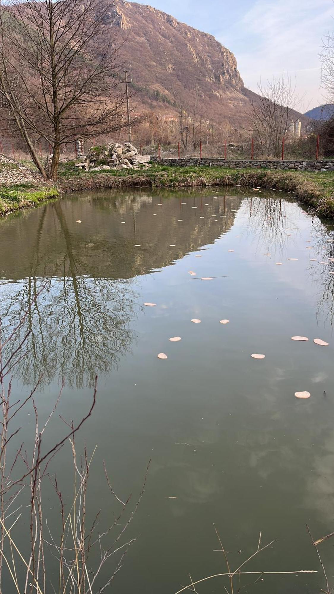 La Gradina Hotel Mehadija Екстериор снимка