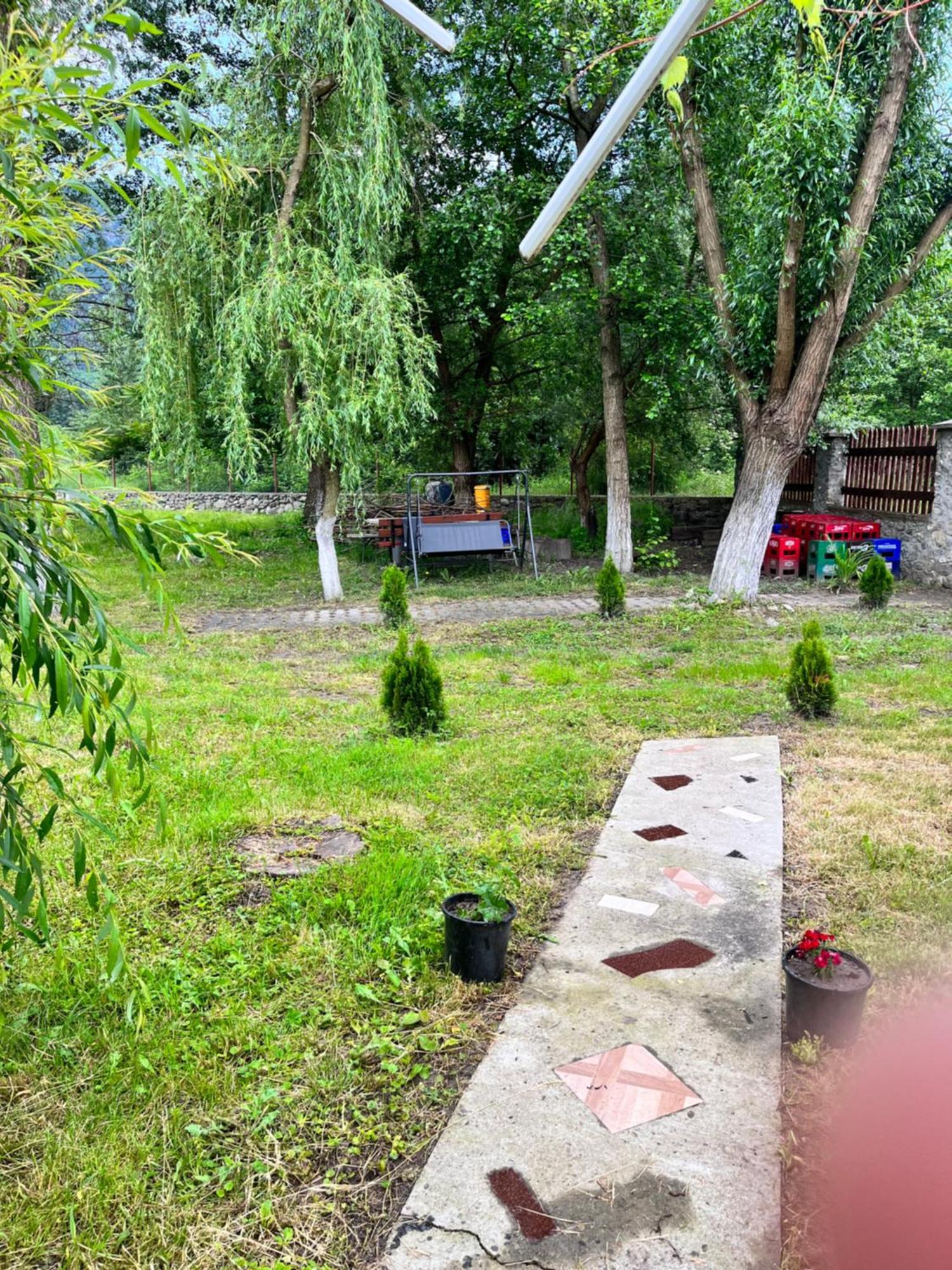 La Gradina Hotel Mehadija Екстериор снимка