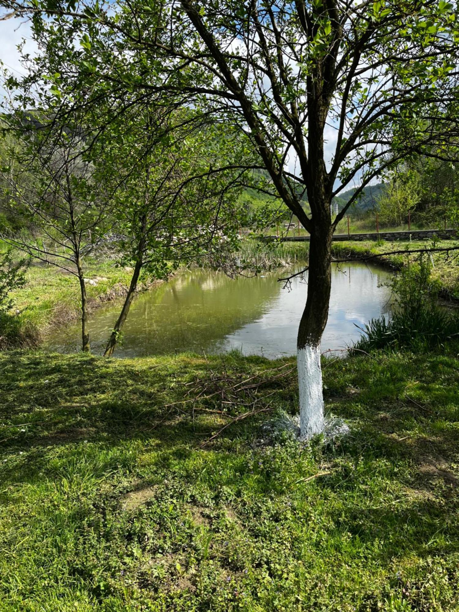 La Gradina Hotel Mehadija Екстериор снимка
